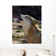 Wolf Song Wall Mural