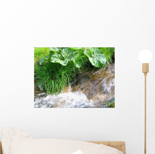 Waldbach im Fr Hjahr Wall Decal