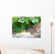 Waldbach im Fr Hjahr Wall Decal