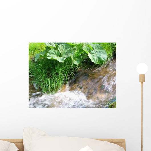 Waldbach im Fr Hjahr Wall Decal