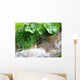 Waldbach im Fr Hjahr Wall Decal