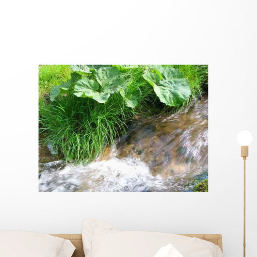 Waldbach im Fr Hjahr Wall Decal