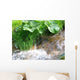 Waldbach im Fr Hjahr Wall Decal