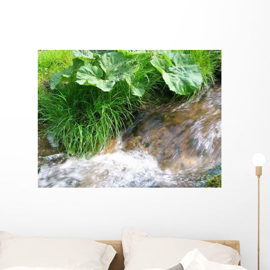 Waldbach im Fr Hjahr Wall Decal
