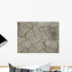 D Rre Wall Decal