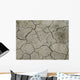 D Rre Wall Decal