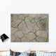 D Rre Wall Decal