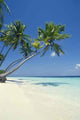 Beach Maldives Wall Decal