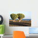 Kakteen Mit Meerblick Wall Decal