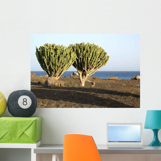 Kakteen Mit Meerblick Wall Decal