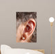 Acupuncture Needles Ear Wall Mural