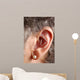 acupuncture needles in ear Wall Mural