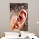 acupuncture needles in ear Wall Mural