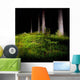 Night Forest Wall Decal