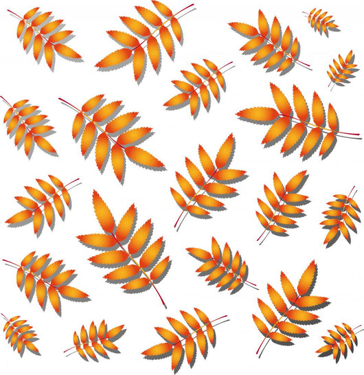 Rowan Autumn Leaves Wall Mural