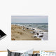 Baltic Sea Wall Mural