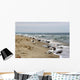 Baltic Sea Wall Mural