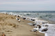 Baltic Sea Wall Mural