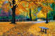 Autumn in Boston Public Garden Wall Mural