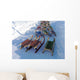 Sled Wall Decal