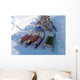 Sled Wall Decal