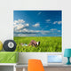 Woman Laying Grass Wall Decal