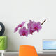 Orchide Wall Decal