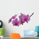 Orchide Wall Decal