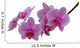 Orchide Wall Decal