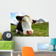 Mountains Wall Decal Design 3