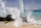 Caribbean Splash Wall Decal