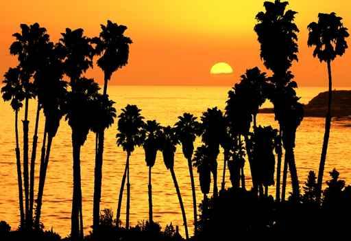 Tropical Sunset Wall Decal