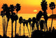 Tropical Sunset Wall Decal