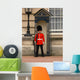 buckingham palace guard Wall Mural
