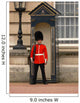 buckingham palace guard Wall Mural