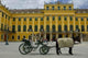 Vienna Wall Decal Design 3