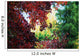 Autumn Color Wall Mural
