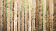 Brown Palisade Front Green Wall Decal