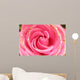 rose Wall Mural