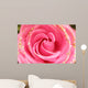 rose Wall Mural