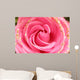 rose Wall Mural