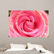 rose Wall Mural