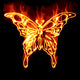 Butterfly Surrounded by fire on a white background Wall Mural