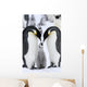 Emperor penguins (Aptenodytes forsteri) Wall Mural