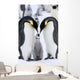 Emperor penguins (Aptenodytes forsteri) Wall Mural