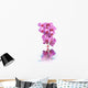 Orchid and spa Wall Decal