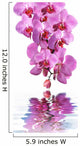 Orchid and spa Wall Decal
