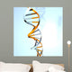dna doppel helix Wall Mural