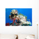 Colors Wall Decal