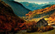 Paysage Wall Decal